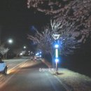 가로등