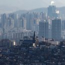 강남부동산나라공인중개사사무소 이미지
