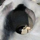 무량경로당 이미지