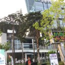 금청 이미지