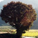 호정2리 이미지