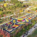 사계 돌담숲 이미지