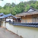 임회4호 네이버블로그