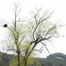 황룡초등학교 이미지