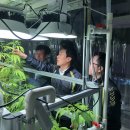 대마축산 이미지