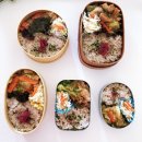 미림유치원 | 짠테크 1위는 역시 도시락!12월 식비 약 20만원 세이브 후기