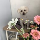 원앤모어(one&more) 이미지