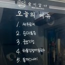 술마실고양 이미지