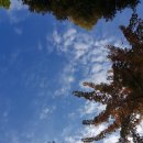 청명보리밥 칼국수 이미지