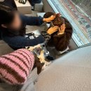 홈플러스.시외버스터미널(17088) | 26年 3月, 즉흥 강원도 여행 ( 대구에서 강릉, 속초 )