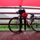 목계숲 1 이미지