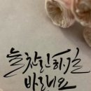 별샘 이미지