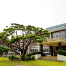 도비예술학교 이미지
