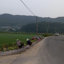 양사면-3 이미지