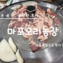 갈현농장 | 서울 마포구 서교동, 합정역 앞 가족모임하기 좋은 음식점 마포오리농장 오리고기와 닭곰탕 솔직후기