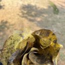 우리들어린이집 이미지