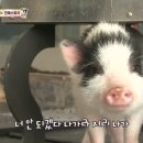 민지 농장 이미지