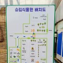 경기도 의왕 승림식물원 3월