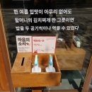 부산시청맛집 백채김치찌개 통돼지로 즐겨볼래요?