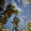 성북-장위-4009 이미지