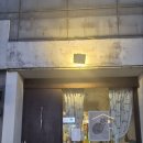 살쾡이 | 망원동 술집 추천! 애견동반 가능한 살쾡이에서 육전들기름막국수 먹고 반한 후기