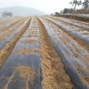 우슬농장 이미지