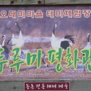 두루미평화관 Daum카페