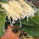 김가네 감자탕 이미지