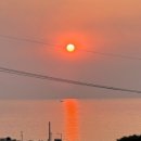 센트카페 이미지