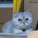 예뻐지냥 이미지