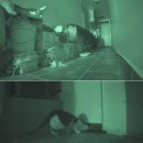 김재윤농장 이미지