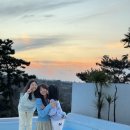 제주 애월 독채 풀빌라 이국적인 역대급 감성숙소 알레그라 제주
