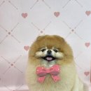 릴리줄리살롱 이미지