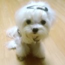우리단비랑 이미지