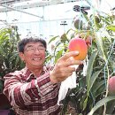 영농조합법인 나눔농장 이미지