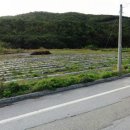 잘풀리는공인중개사사무소 이미지