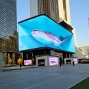 베스트아이들병원 이미지