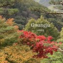 소망분재원 | 경기도 광주 곤지암 화담숲 실시간 단풍 후기 (예약 · 주차 · 모노레일 · 스탬프 투어 · 산책 코스...