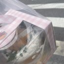 아하포토 이미지