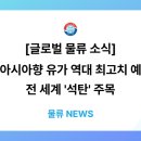 유가향 이미지