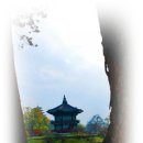경북궁 이미지