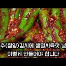 청양 고추 생멸치 육젓 담그기 이미지