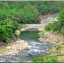 소선암자연휴양림 이미지