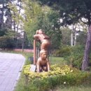 장천재체육공원 이미지