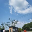 꼼꼼이네 여덟번째 캠핑기록. 23.06.24~26 / 홍성 캠핑굄성 F2 - 역시나 실망은 없는 곳!
