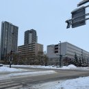 레몬카써비스 | [삿포로 여행 3편] 1월 비에이 렌트카 여행｜크리스마스나무·청의호수·흰수염폭포·닝구르테라스 후기