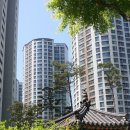 (주)동향 네이버블로그