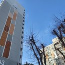 수성주공3차아파트 네이버블로그