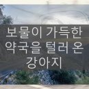 보물약국 이미지