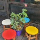 옐로우PC 이미지